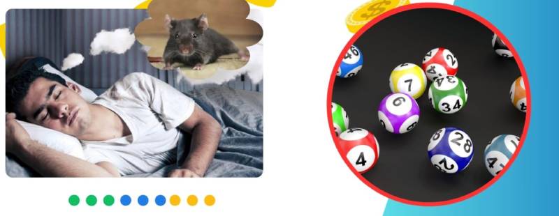 Đánh Lô Đề Theo Giấc Mơ: Mơ Gì Đánh Nấy Có Thật Hiệu Quả 1 Danh Lo De Theo Giac Mo Mo Gi Danh Nay Co That Hieu Qua